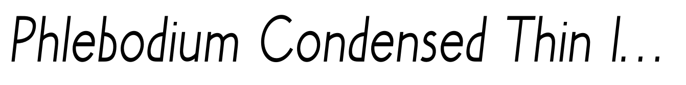 Phlebodium Condensed Thin Italic